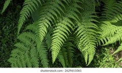 环保合规管理支持